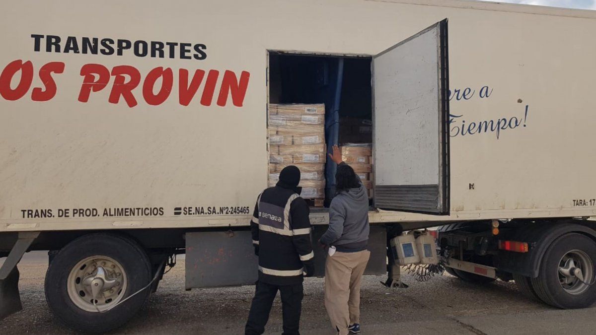 Senasa evitó el ingreso de más de 15 toneladas de alimentos no aptos para consumo