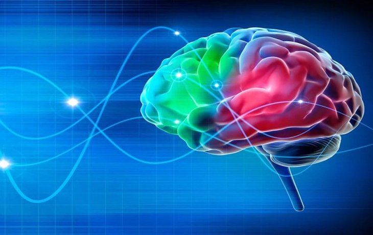 Cerebro y vitaminas.&nbsp;
