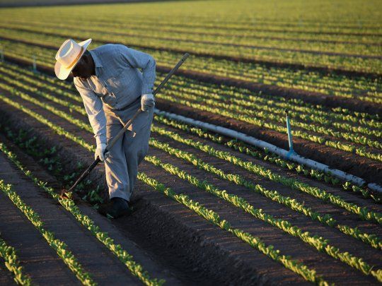 Federación Agraria celebró el comienzo del pago de las compensaciones a pequeños productores.