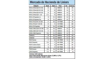 El Índice Novillo subió un 1,5%