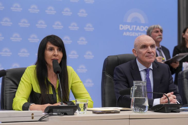 Lorena Villaverde y José Luis Espert, presidentes de las comisiones de Energía y Presupuesto. Lorena Villaverde y José Luis Espert, presidentes de las comisiones de Energía y Presupuesto.