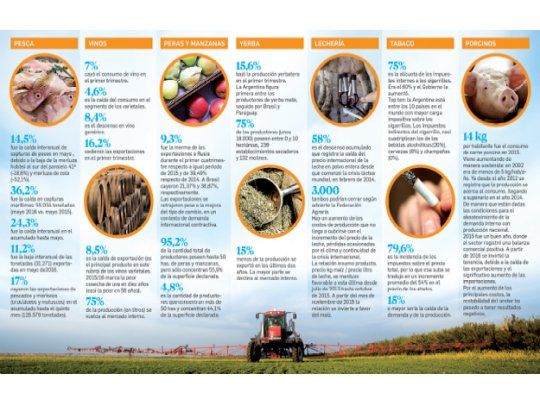 Aunque mejoran condiciones, las economías regionales aún están lejos de la recuperación
