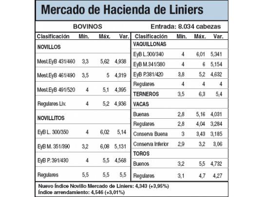 Récord del novillo por alta demanda