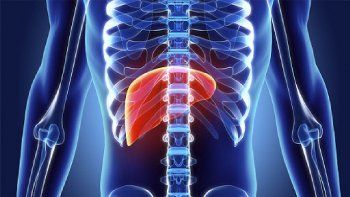 advierten sobre un virus silencioso que afecta a miles de argentinos y puede provocarles un dano hepatico grave