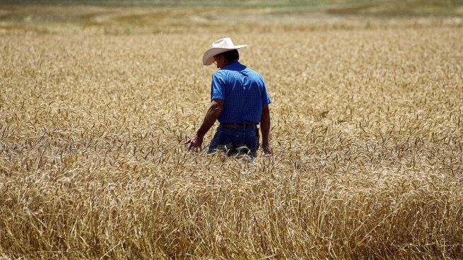 El Gobierno hizo oficial la baja de reteciones al campo.