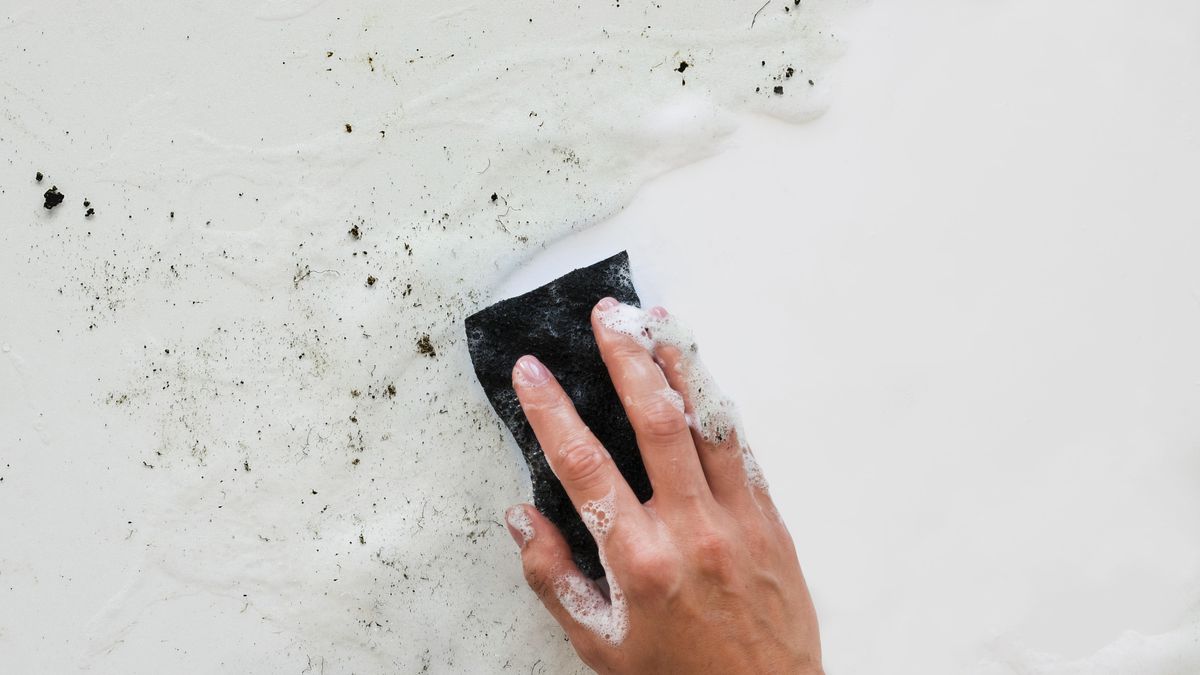 Say bye to the humidity on the walls: the experts revealed the fundamental trick to keep them clean and healthy