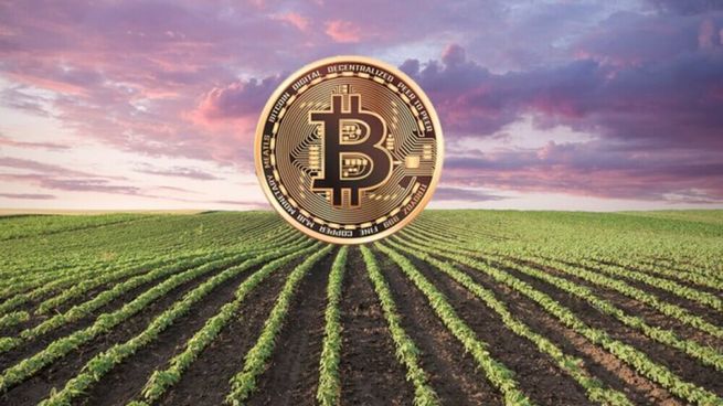 agrotoken.jpg