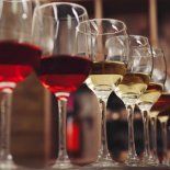 La Resolución 37/2025 que desregula la producción de vinos tiene fecha de vigencia a partir del 1 de enero próximo. La Resolución 37/2025 que desregula la producción de vinos tiene fecha de vigencia a partir del 1 de enero próximo.