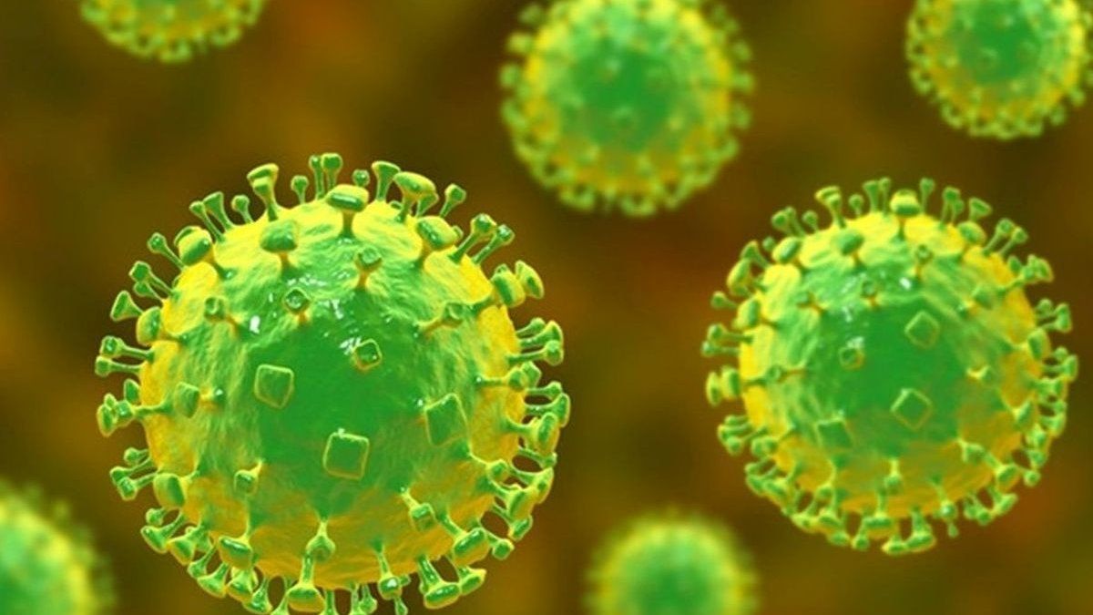 Los científicos advierten de un virus infeccioso