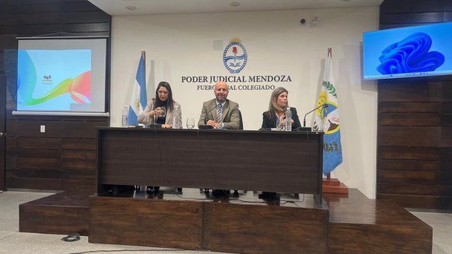 El presidente de la Cámara Federal de Casación Penal, Mariano Hernán Borinsky, expuso sobre los avances del Sistema Acusatorio en los distritos federales de Salta y Rosario.