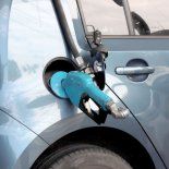 En enero se vendieron 1,42 millones de metros cúbicos de combustibles en todo el país, con una suba interanual de apenas 0,1%. En enero se vendieron 1,42 millones de metros cúbicos de combustibles en todo el país, con una suba interanual de apenas 0,1%.