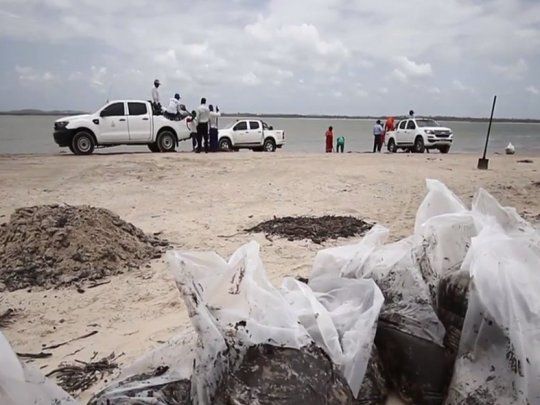 El Grupo de Seguimiento y Evaluación de la tragedia ambiental, encabezado por la Marina, informó en la noche de este domingo que más de 600 toneladas de crudo y residuos fueron  retiradas a lo largo de 2.500 km de costas.
