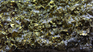 Mining exports registered an interannual increase of 14.4% for the accumulated of 2024, mainly driven by gold. Mining exports registered an interannual increase of 14.4% for the accumulated of 2024, mainly driven by gold.
