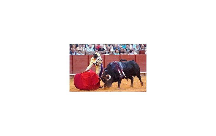Los toros están en franca decadencia, dijo un senador nacionalista catalán.