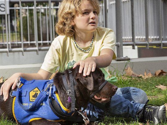 Autismo Perro de Asistencia.jpg