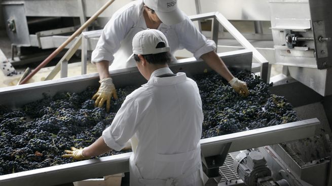 La discusión se centra en la vigencia del Certificado que permite controlar el origen y trazabilidad de las uvas.