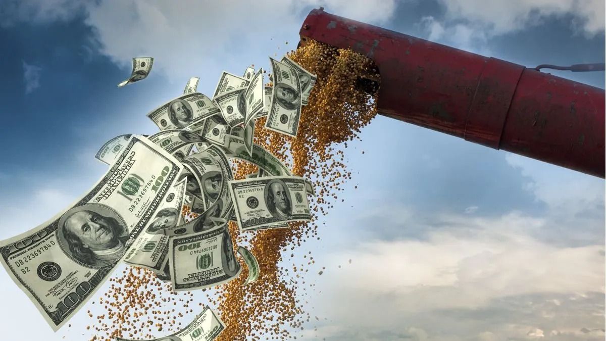 The Rural Federation accused of a brutal exchange rate delay in Uruguay The Rural Federation accused of a brutal exchange rate delay in Uruguay