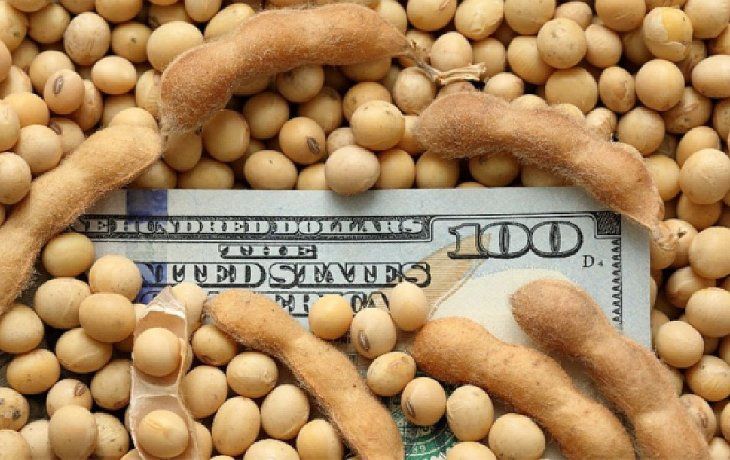 ámbito.com | Dolares soja.jpg