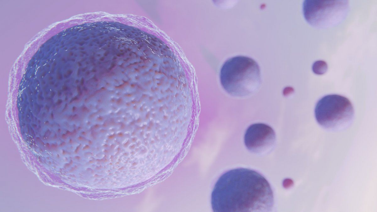 Freezing eggs at 30: a powerful tool for fertility care