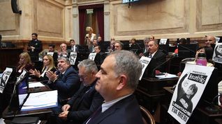 El peronismo aportó la totalidad de sus 34 votos para todos los proyectos.