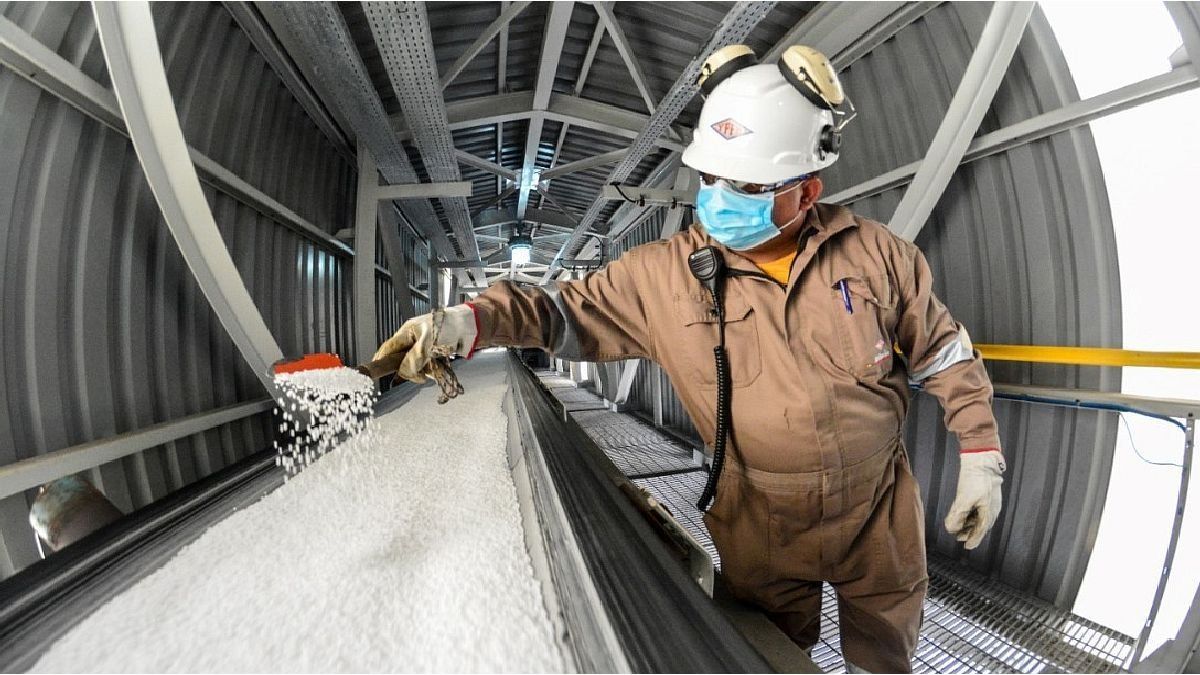 Exports of chemicals and petrochemicals rose 38% and sales totaled US.5 billion