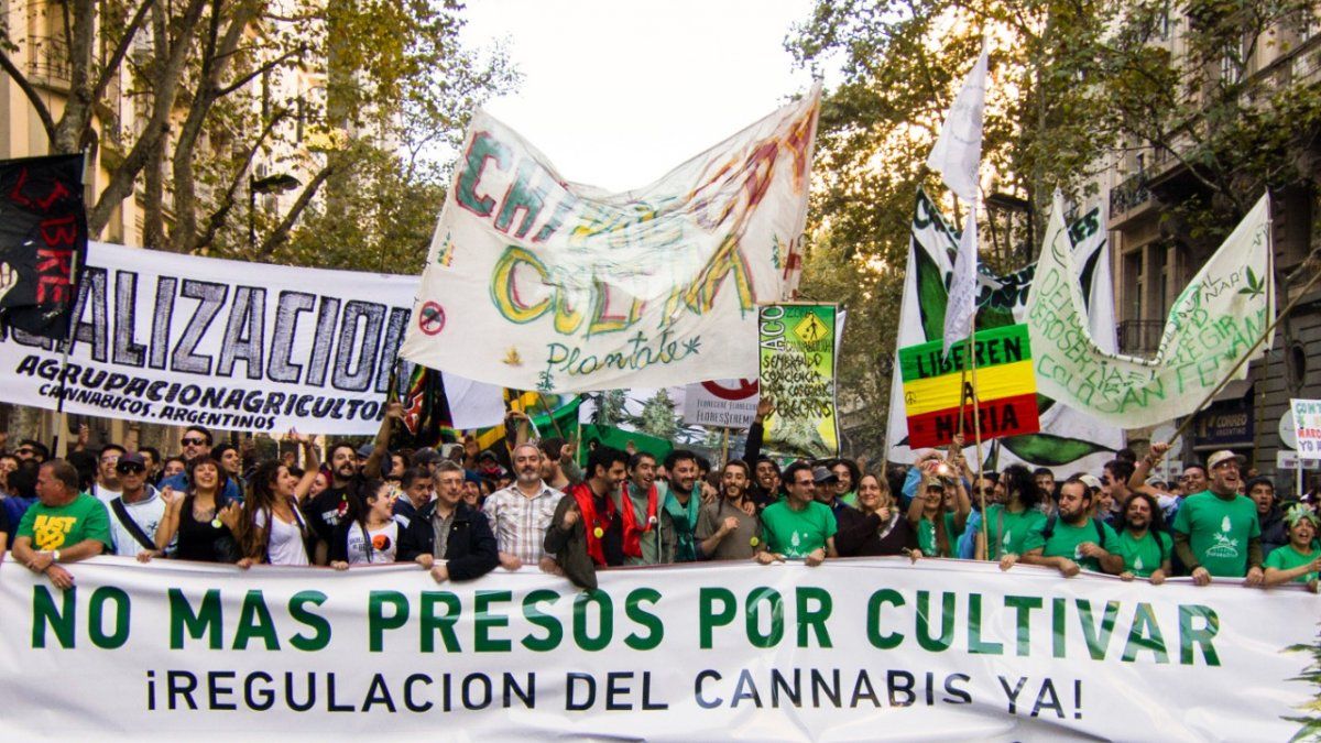 Marcha Nacional de la Marihuana: masiva movilización al Congreso por la legalización del cannabis
