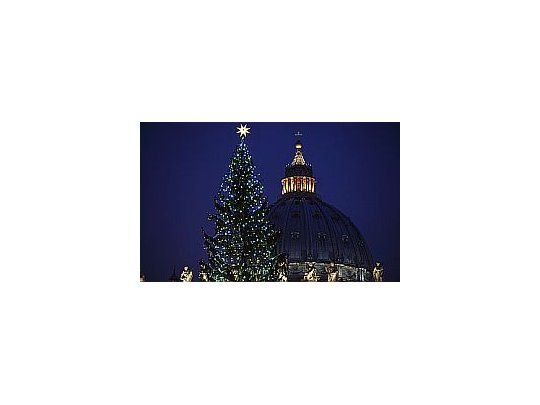 El árbol  fue donado por las autoridades de una pequeña ciudad italiana.