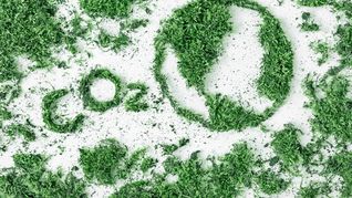 Seis importantes bancos estadounidenses habían abandonado la alianza tras la elección de Trump. Seis importantes bancos estadounidenses habían abandonado la alianza tras la elección de Trump.