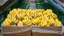 La importación de bananas preocupa a los gobernadores norteños.