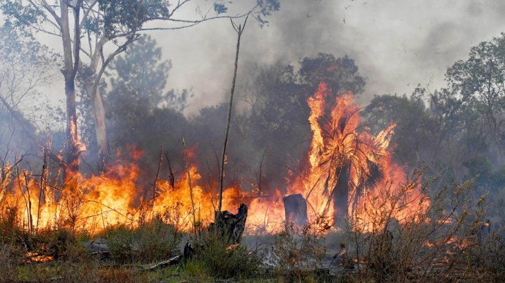 Incendios en Corrientes.
