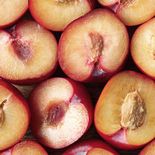 Los duraznos son especialmente beneficiosos para el cuidado del intestino. Los duraznos son especialmente beneficiosos para el cuidado del intestino.