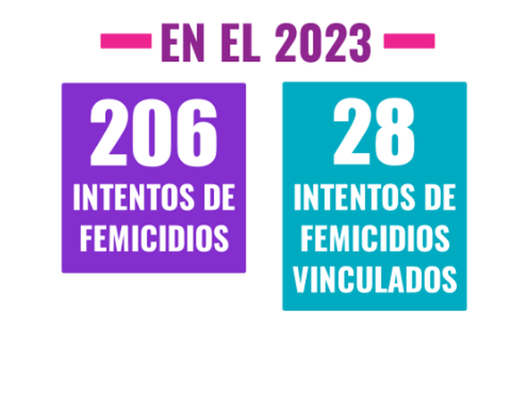 En lo que va de 2023 se registran 175 las víctimas de femicidios y transfemicidios imagen-2