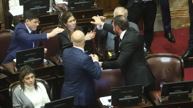 Senadores de La Libertad Avanza celebran la aprobación de la ley Bases.