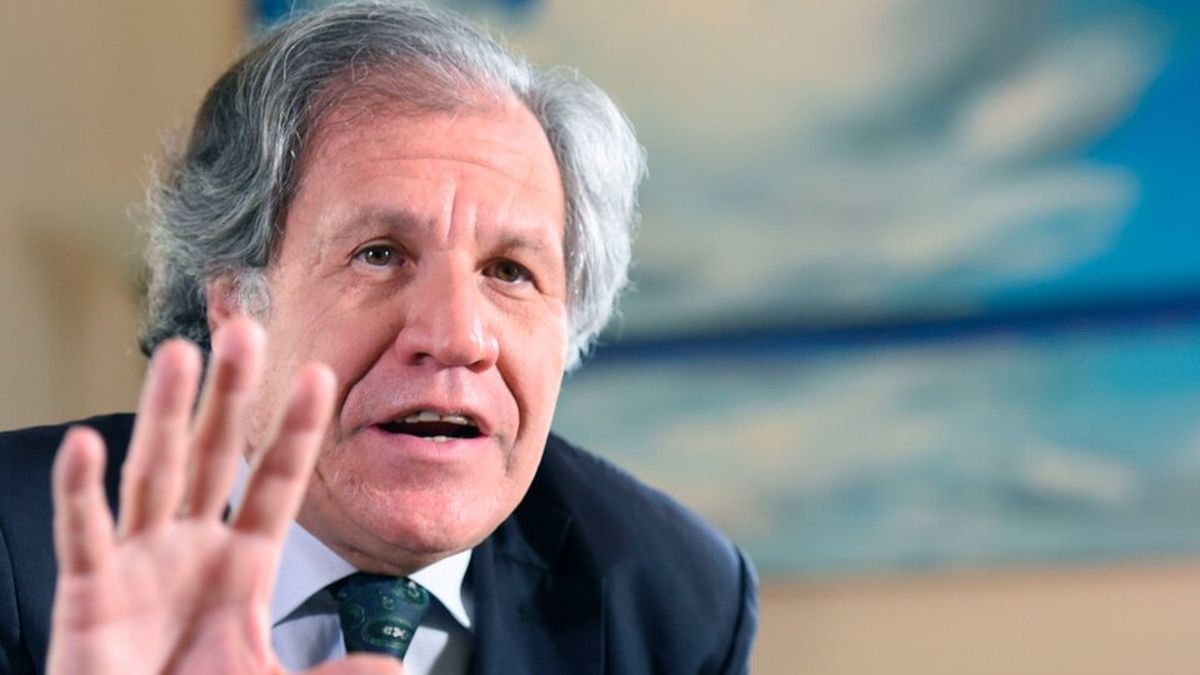Luis Almagro traveled more than 30 times with the OAS official who was his lover