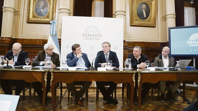 P11 - Comision Senado Sec Agricultura Bahillo_ (Ignacio Petunchi) (2).jpg