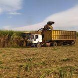 De concretarse, el nuevo holding integrará dos de los complejos sucroalcoholeros más relevantes de la provincia, con 5,5 millones de toneladas de molienda anual. De concretarse, el nuevo holding integrará dos de los complejos sucroalcoholeros más relevantes de la provincia, con 5,5 millones de toneladas de molienda anual.