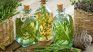 It is believed that this drink attracts health, frightens bad luck, promotes joys and strips people of the bad omen. It is believed that this drink attracts health, frightens bad luck, promotes joys and strips people of the bad omen.