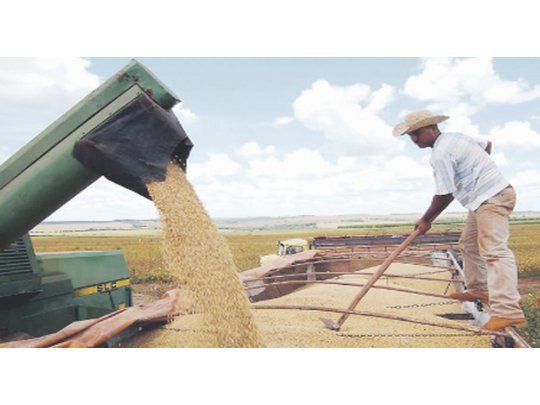 CAUTELA. A pesar de la gran cosecha que se espera en los Estados Unidos todavía puede haber un rebote en las cotizaciones de la soja.