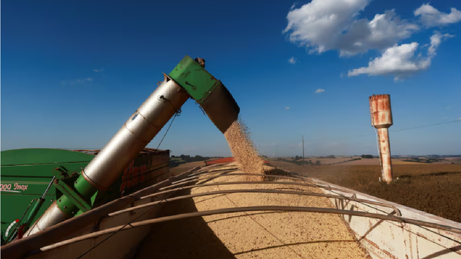 El precio de la soja se estabiliza y China aumenta sus importaciones de América Latina.