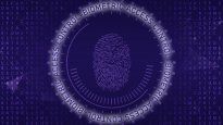 Es importante abordar la protección de datos en profundidad,