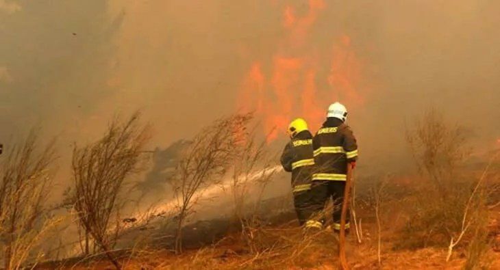 Incendios forestales en Misiones.