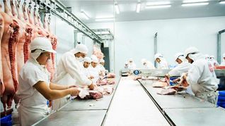 La industria frigorífica calificó de insuficientes las medidas del MEF para competitividad. La industria frigorífica calificó de insuficientes las medidas del MEF para competitividad.