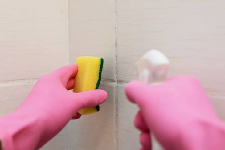 Las juntas de azulejo en baños y cocinas son los puntos más vulnerables a la acumulación de humedad; la falta de ventilación acelera la aparición del moho negro. Las juntas de azulejo en baños y cocinas son los puntos más vulnerables a la acumulación de humedad; la falta de ventilación acelera la aparición del moho negro.