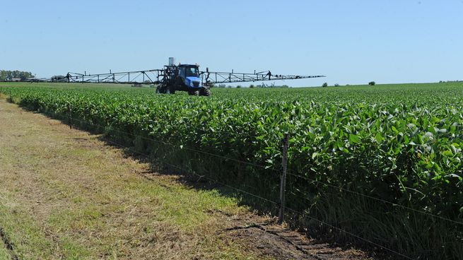 Algunas multinacionales estiman una cosecha de alreedor e 800.000 toneladas de soja en Uruguay.