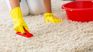 What is the magic ingredient to clean your carpets? What is the magic ingredient to clean your carpets?