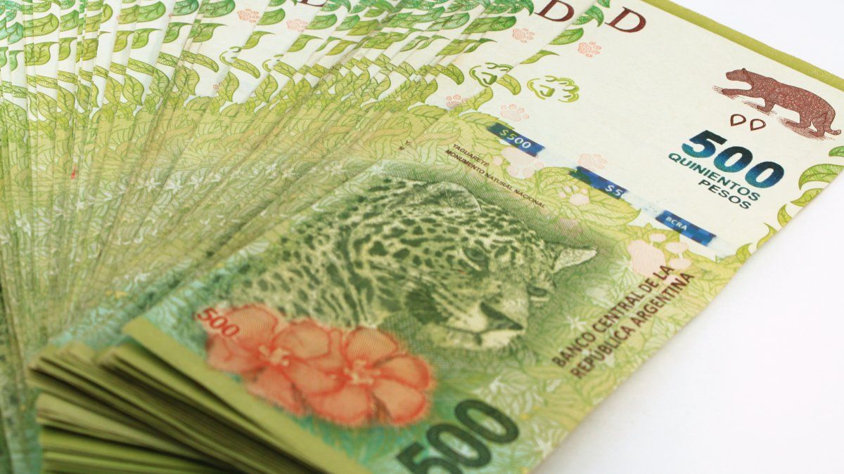 Increase the reimbursement for purchases to retirees, pensioners and AUH