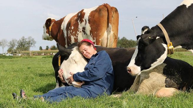 Reino Unido. La experiencia, que también incluye actividades educativas sobre la agricultura sostenible, atrae a parejas, familias y amantes de las vacas.