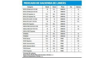 Ingresaron 941 bovinos a Liniers