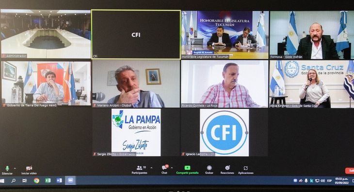 Varios gobernadores participaron de forma virtual.