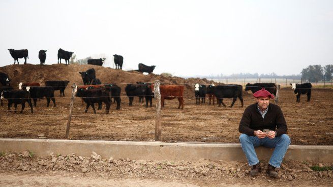 El campo espera más medidas frente al escenario complejo.